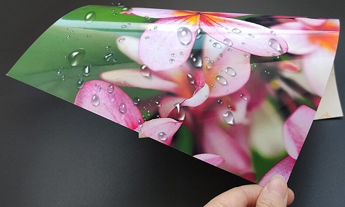 waterproof glossy photo paper